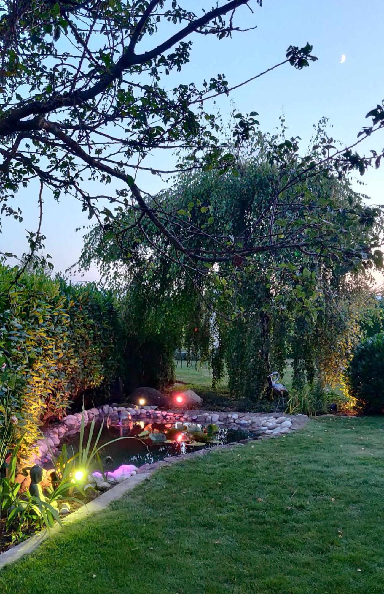 Hillside Homestay Near Luzern By Menbergs Harmony Homestay Hildisrieden Zewnętrze zdjęcie